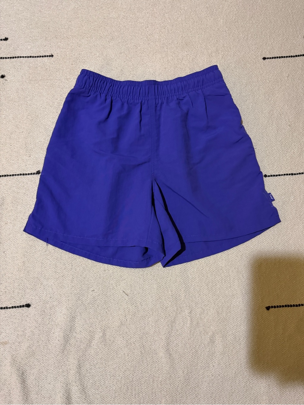 Aritzia Tna Big Easy 5” Short (Electric Purple)